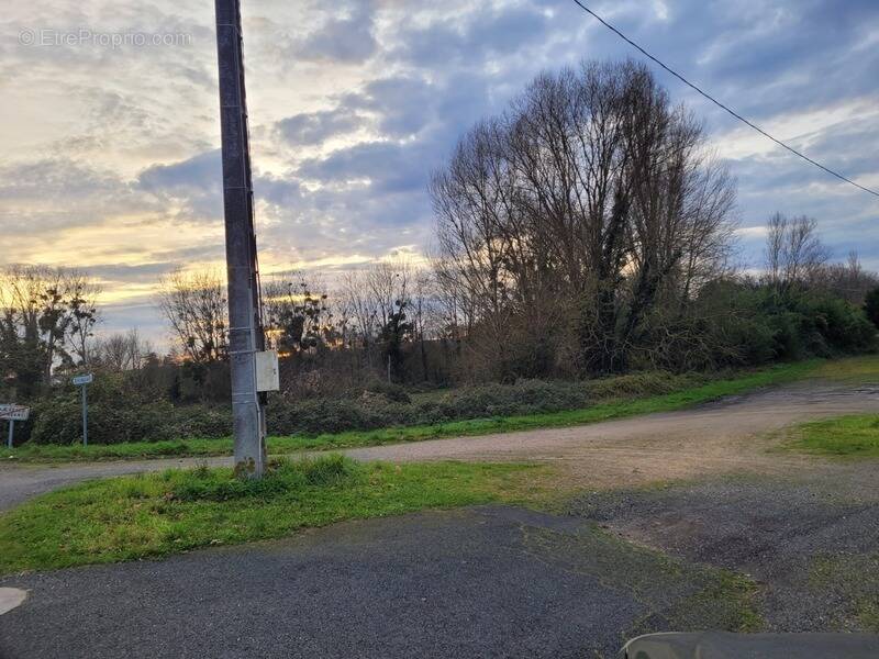 Terrain à LA CELLE-SAINT-AVANT