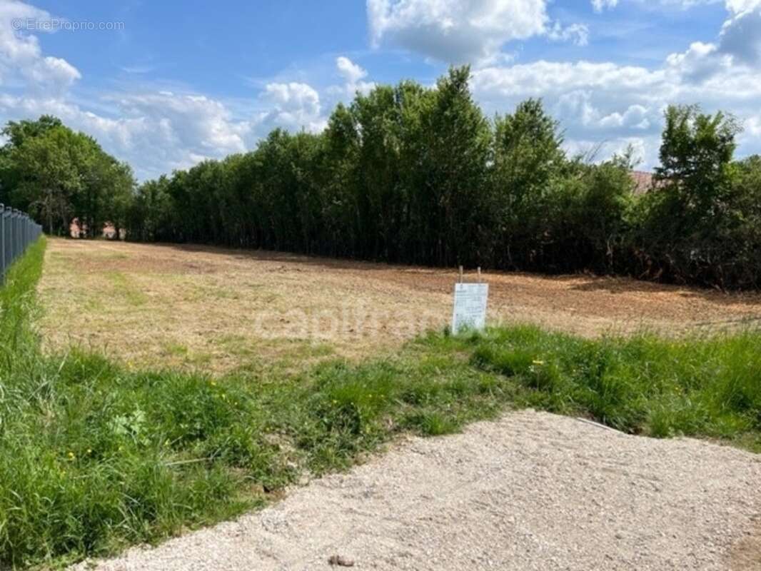 Beau Terrain de 2 164,00 m² ESCAMPS (89) - photo 2