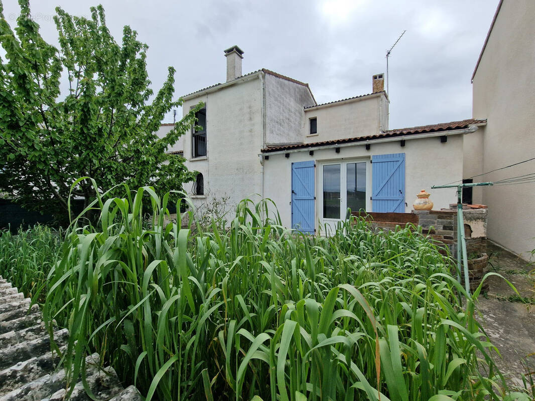 Maison à VILLEMOUSTAUSSOU