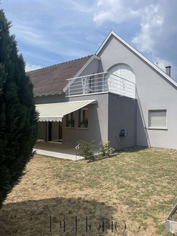 Nordheim - Maison d’architecte aux volumes remarquables 310m2 avec appartement indépendant - photo 3