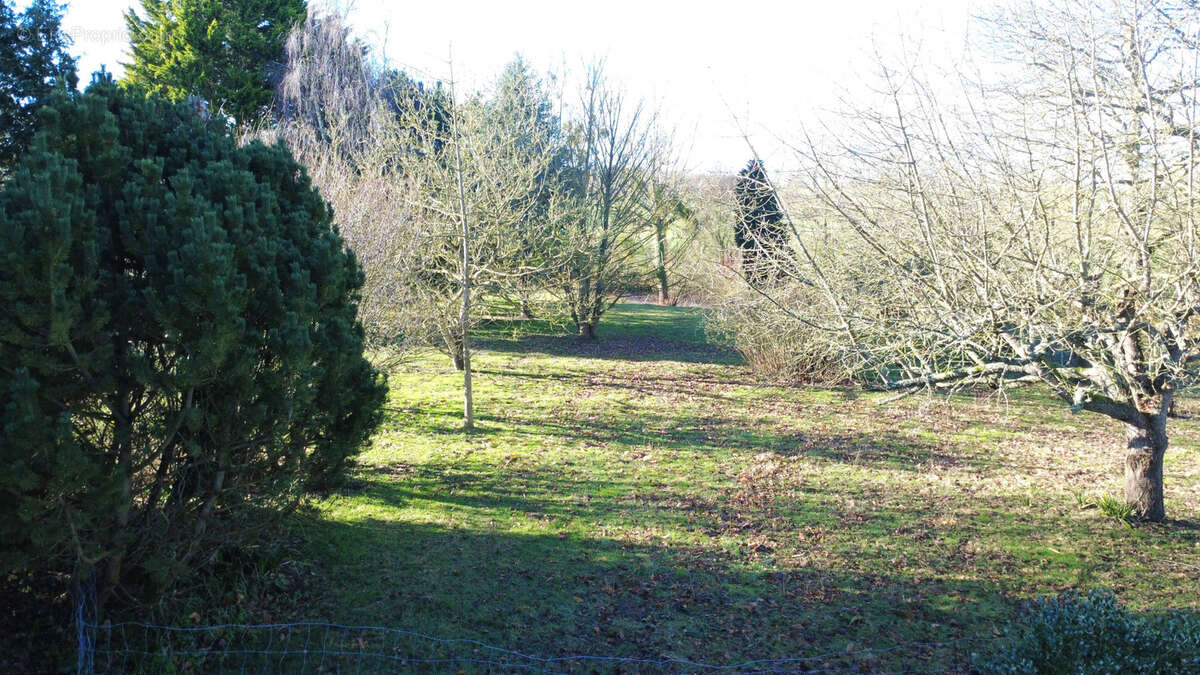 Maison à PLESSIX-BALISSON