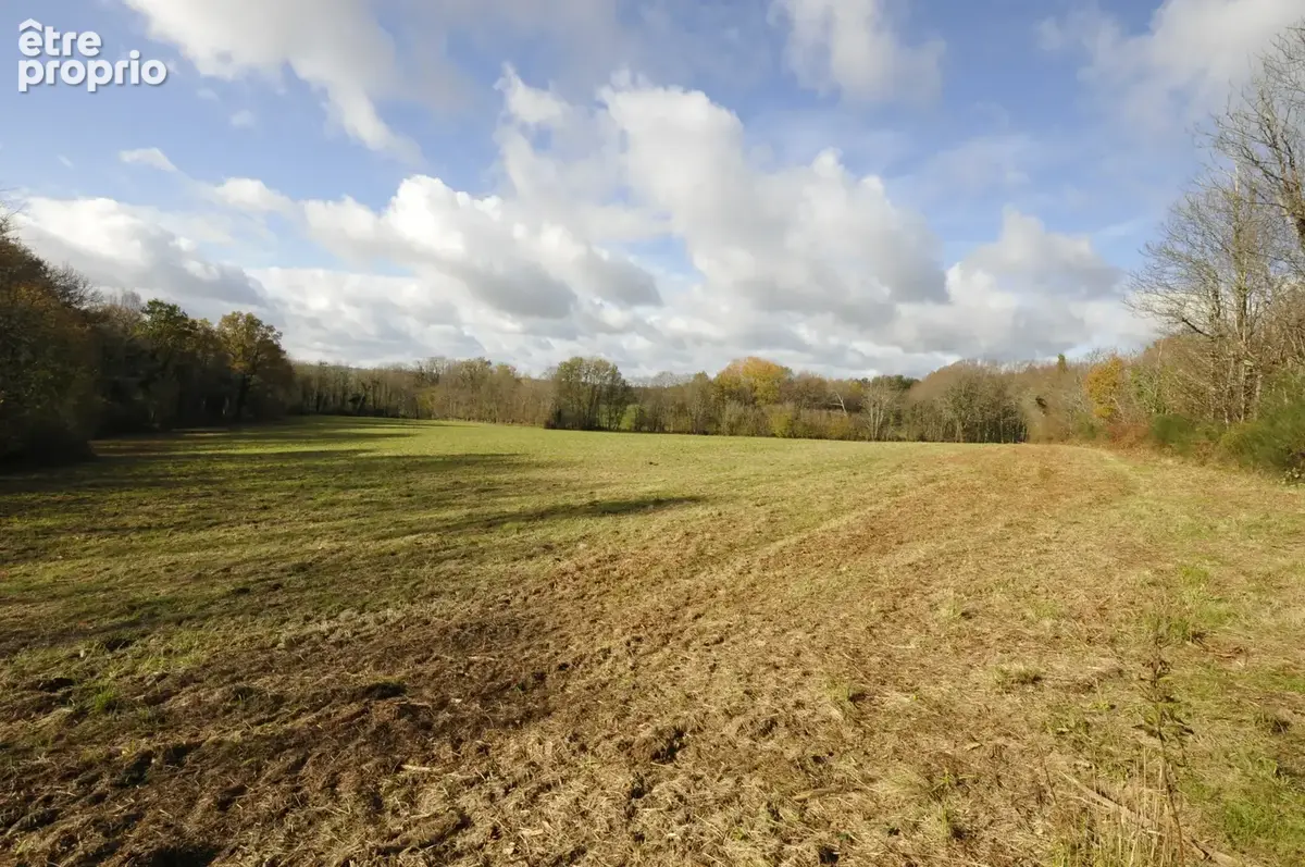 Terrain Agricole ou de Loisir d'un seul tenant, idéal pour chevaux ou animaux - photo 2