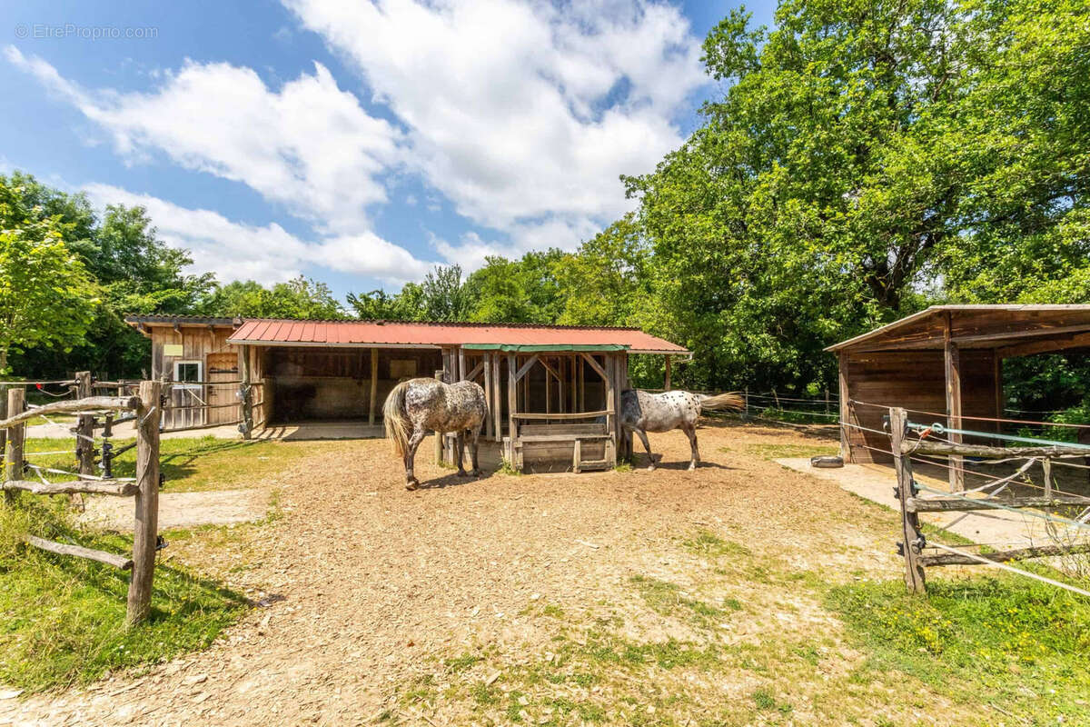 Propriete equestre - photo 5