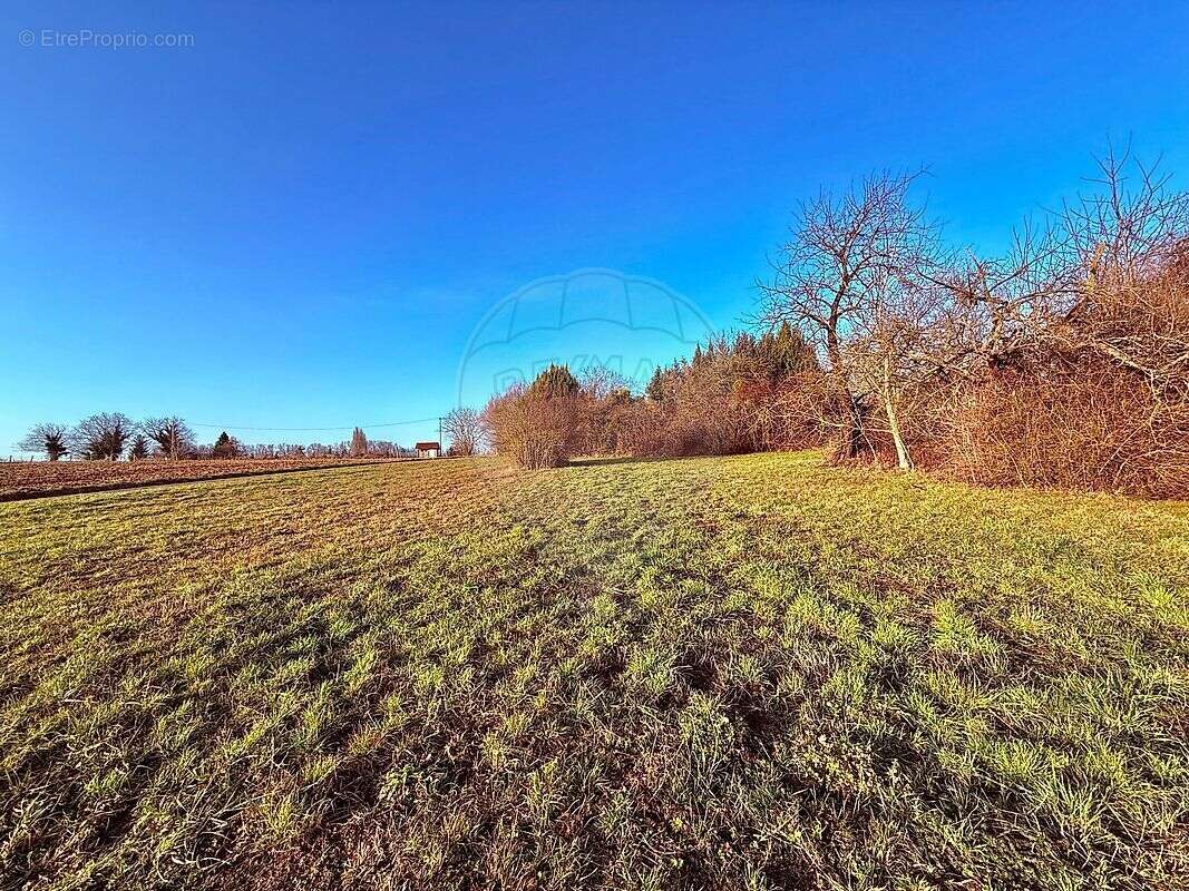 Terrain à GEISPITZEN
