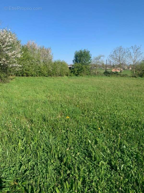 Terrain à LES ABRETS