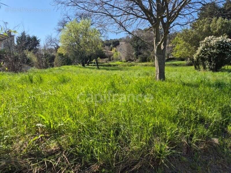Terrain à vendre de 650,00 m² CASSAGNOLES (30) - photo 2