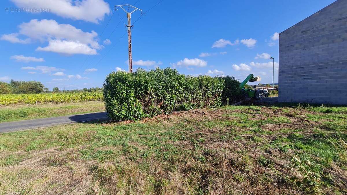 Terrain à LE LANDREAU