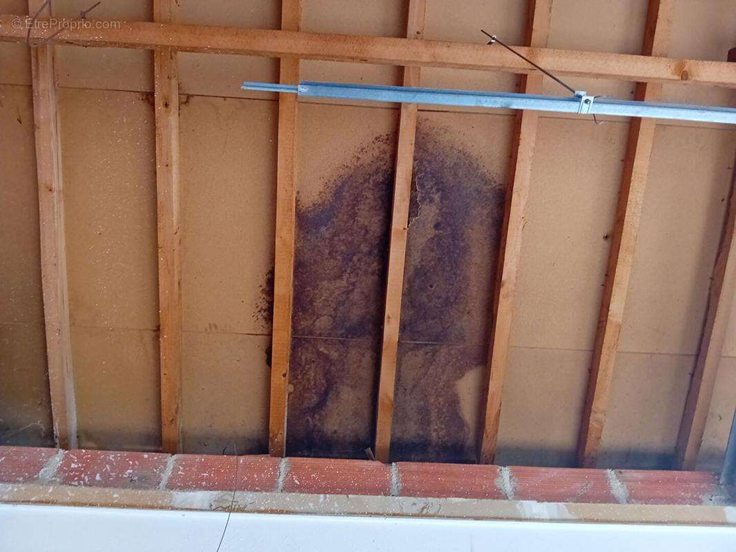 Appartement à VERZY