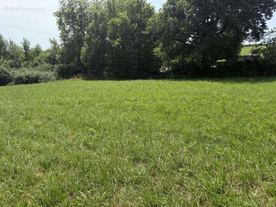 Terrain à LABECEDE-LAURAGAIS