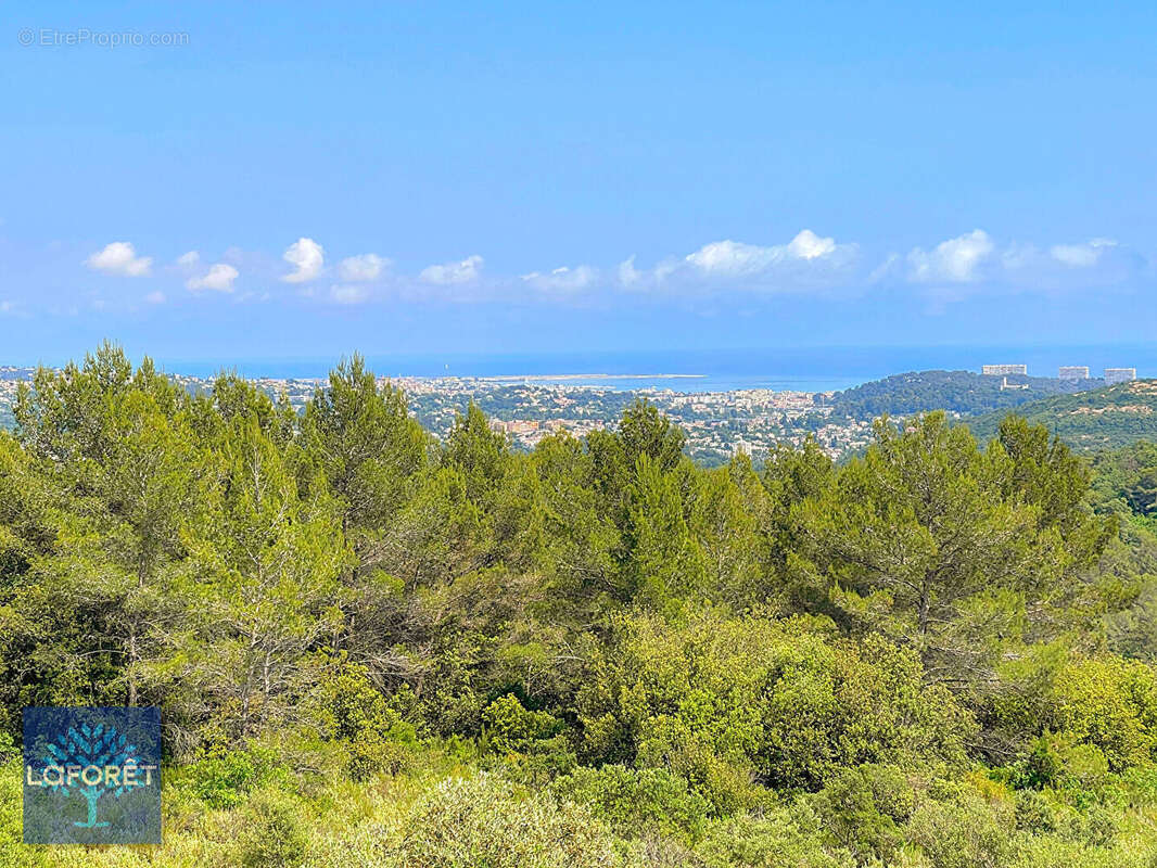 Maison à ROQUEFORT-LES-PINS