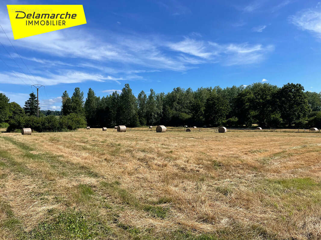 A VENDRE : Maison d'habitation en pierres en campagne avec terrain à Sainte Cécile - photo 12
