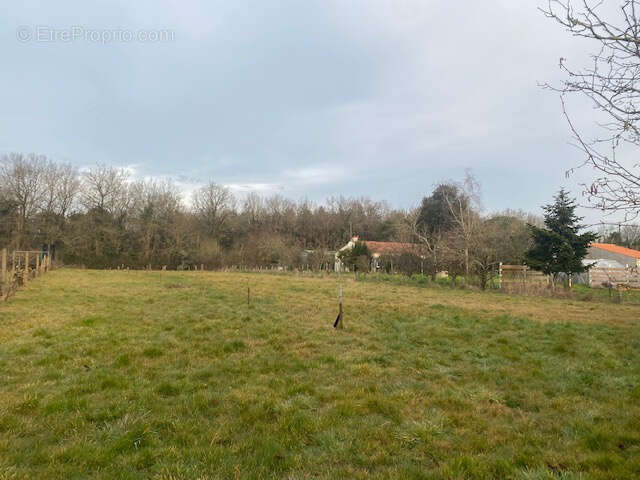 Terrain à TALMONT-SAINT-HILAIRE