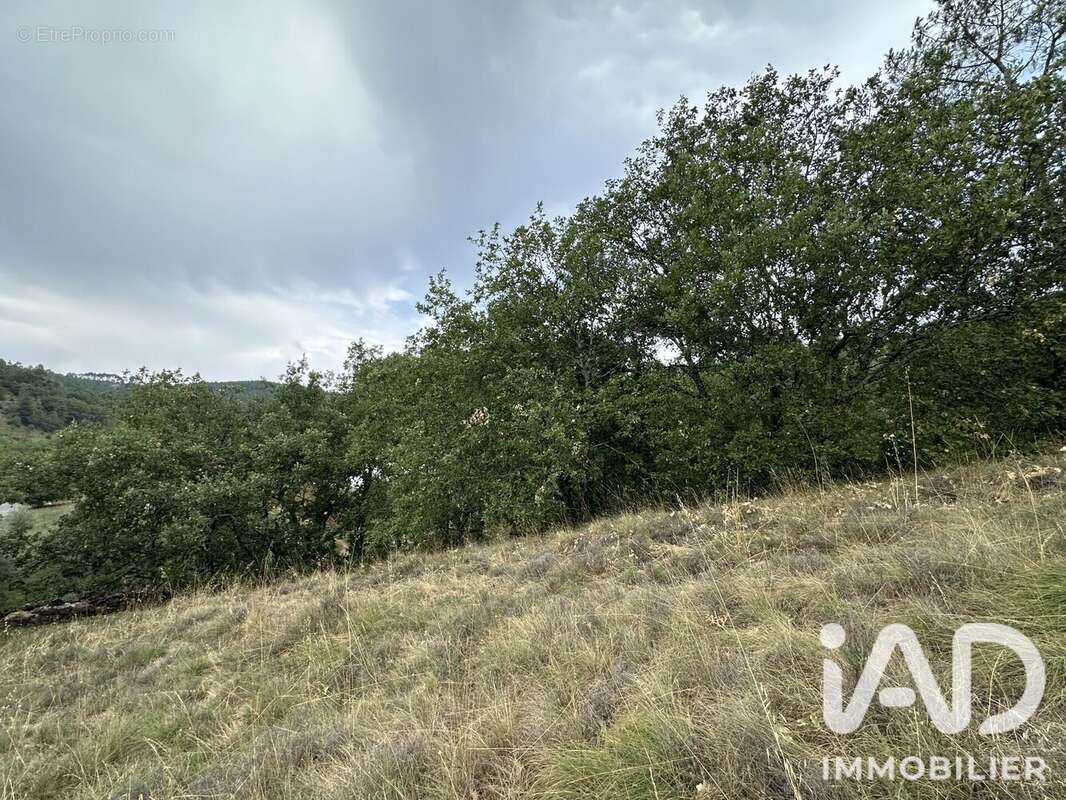 Terrain 2835 m² à Mercuer  - photo 2