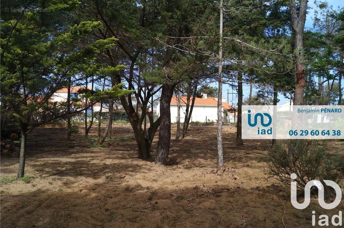 Photo 5 - Terrain à BRETIGNOLLES-SUR-MER