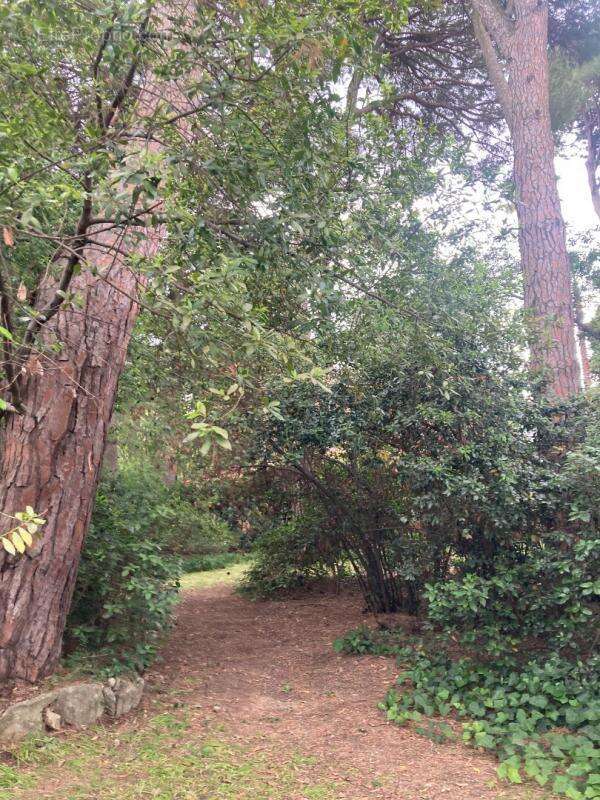 Maison à MONTPELLIER