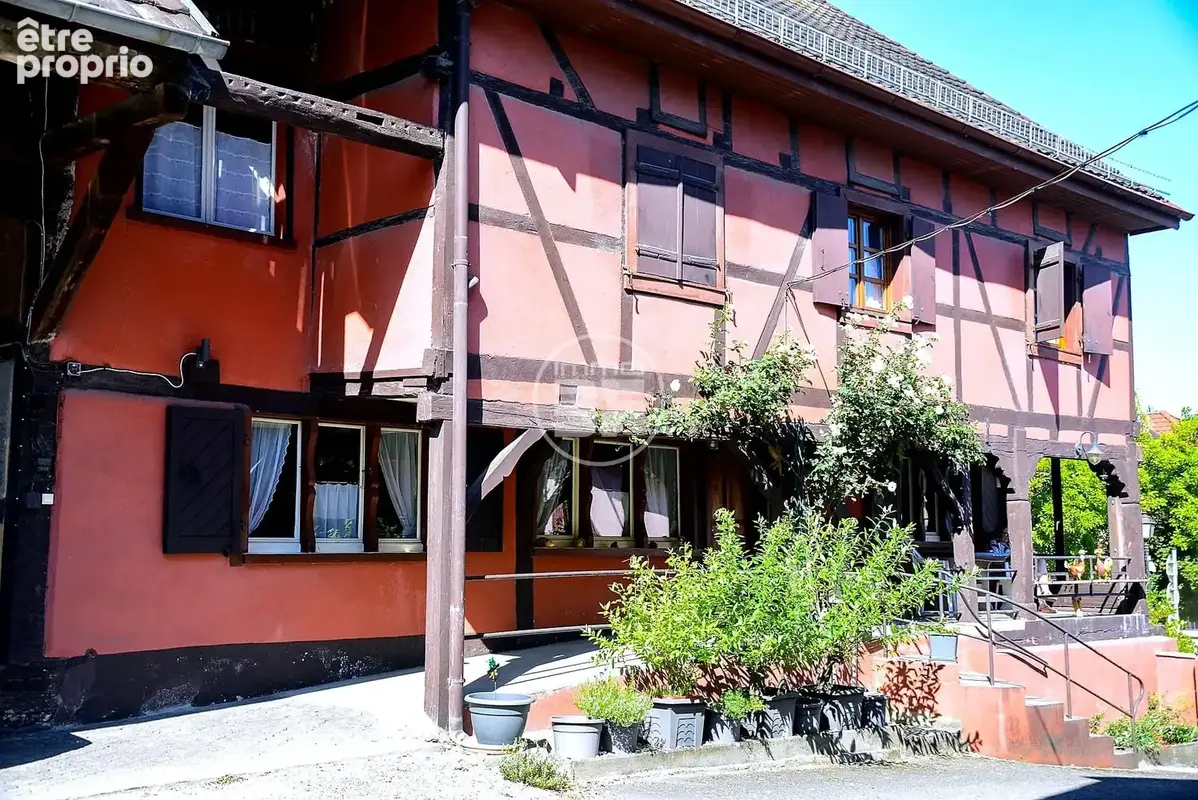 Maison 8 pièces 212 m² à vendre à Hegenheim (68220) - photo 3