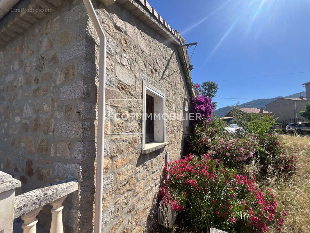 Petreto bicchisano - maison 3 pieces - 95.05m2 - photo 4