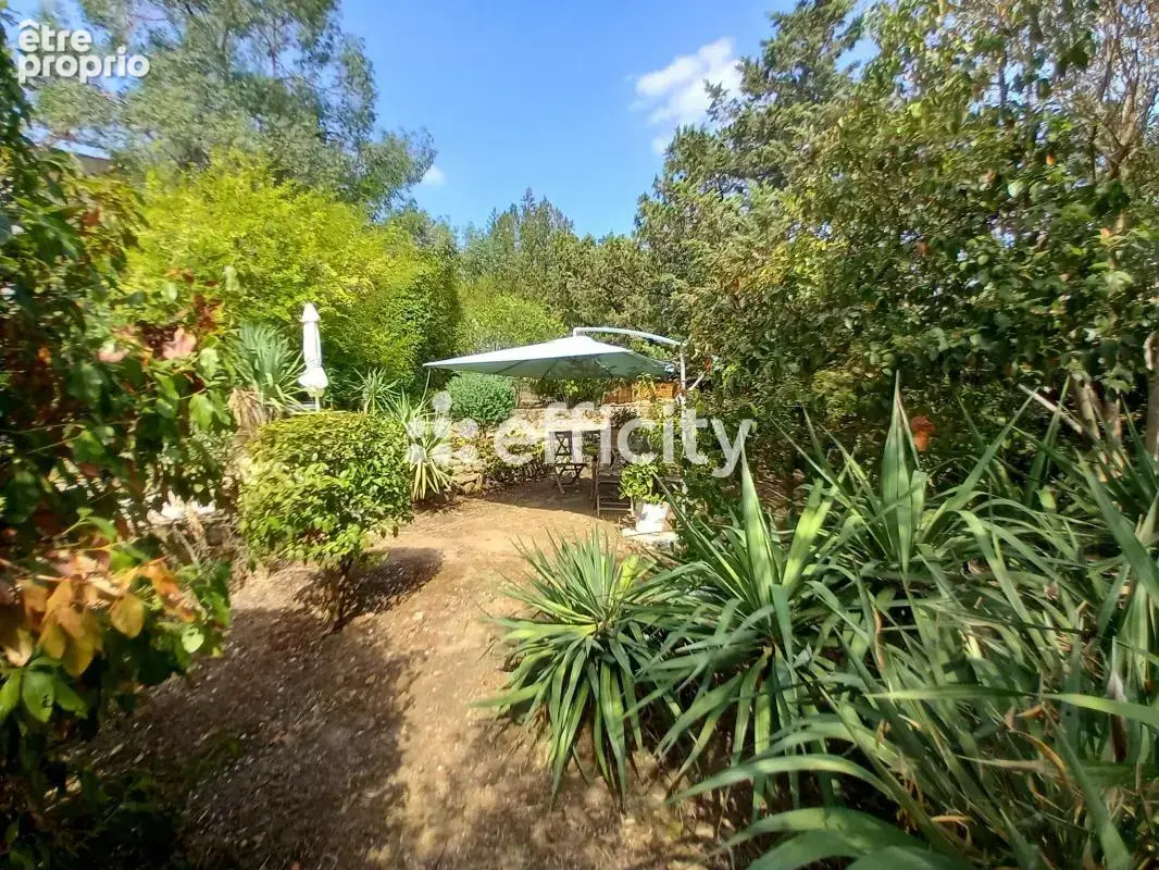 Maison en pierres - photo 31