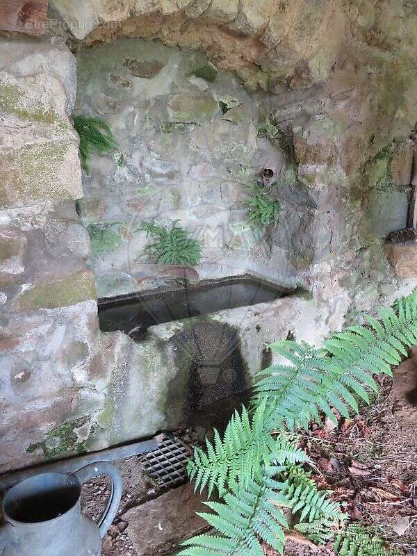 Maison à SAINT-NIZIER-D&#039;AZERGUES