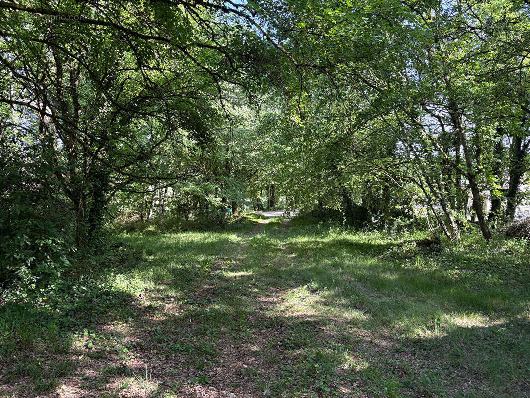 Terrain à LA DORNAC