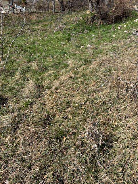 Terrain à PUY-SANIERES