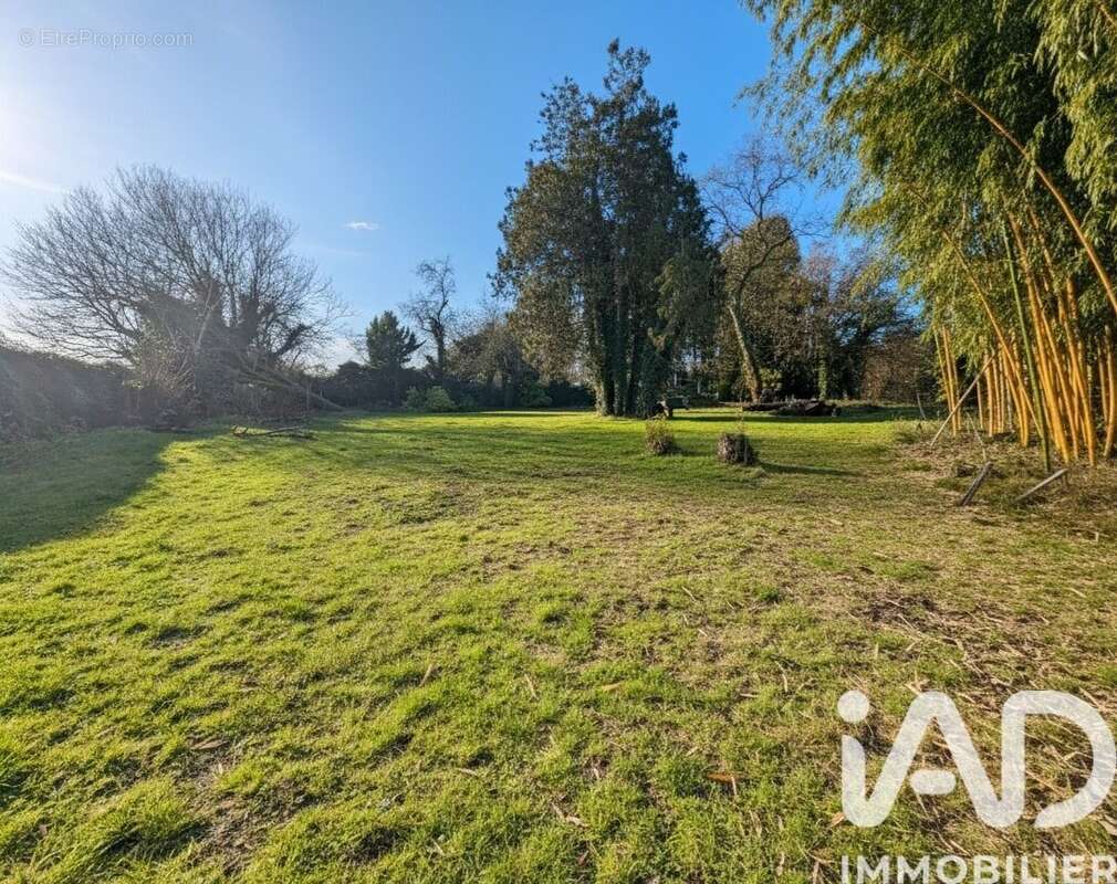 Photo 4 - Maison à LA FERTE-MILON