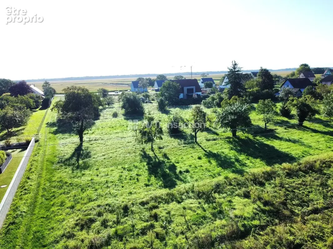 Terrain 276 m² à vendre à Grussenheim (68320) - photo 5