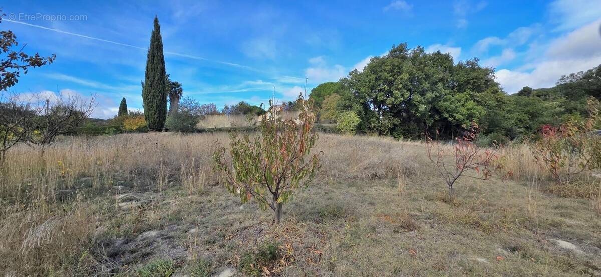 Terrain à CLERMONT-L'HERAULT