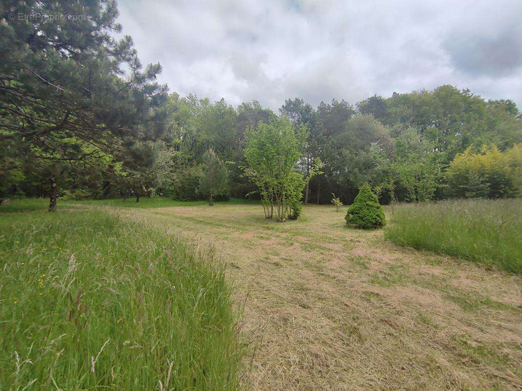 Terrain à MIGNALOUX-BEAUVOIR