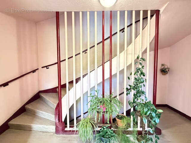 Appartement à ROANNE