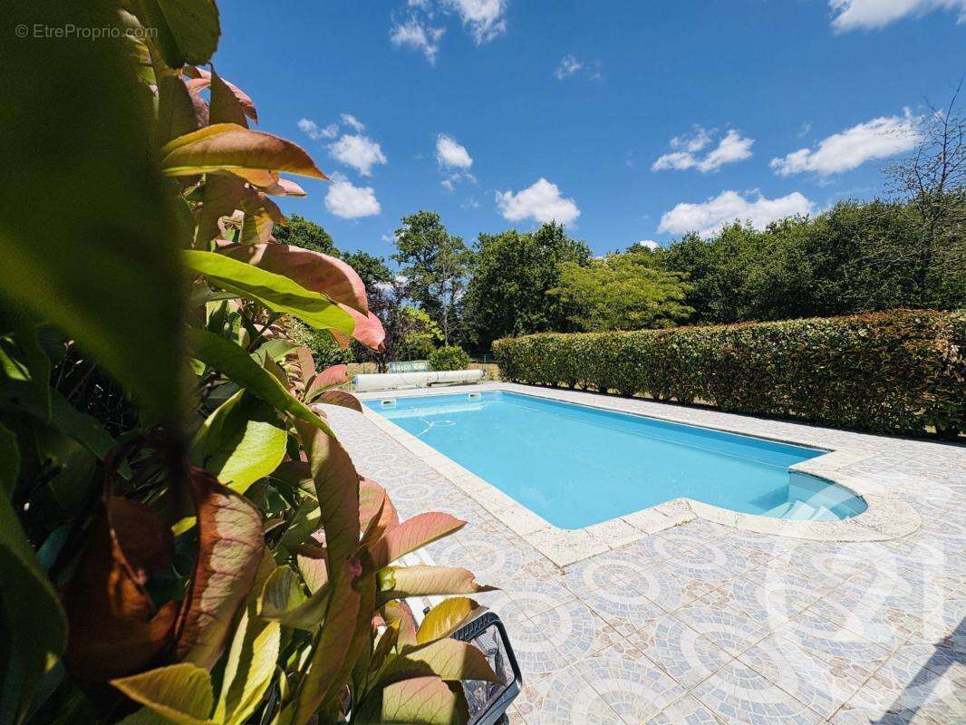 Maison 155 m² à Peyrat-De-Bellac  - photo 6