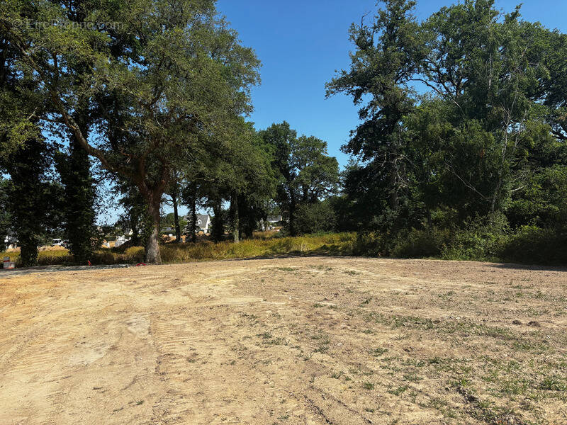 Terrain à BAINS-SUR-OUST