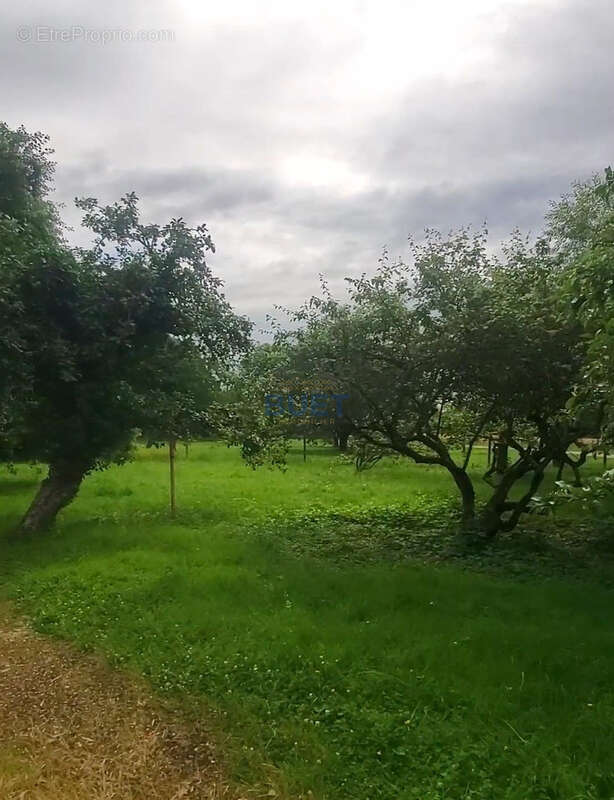 Terrain à LE VAL-D&#039;ESNOMS