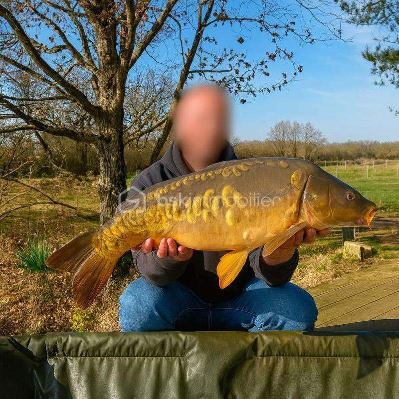 Terrain à SAVONNIERES