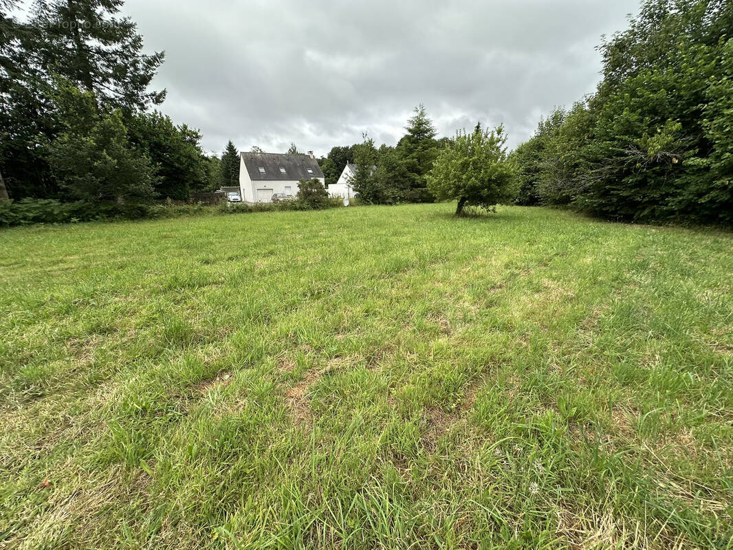 Terrain à CAMORS