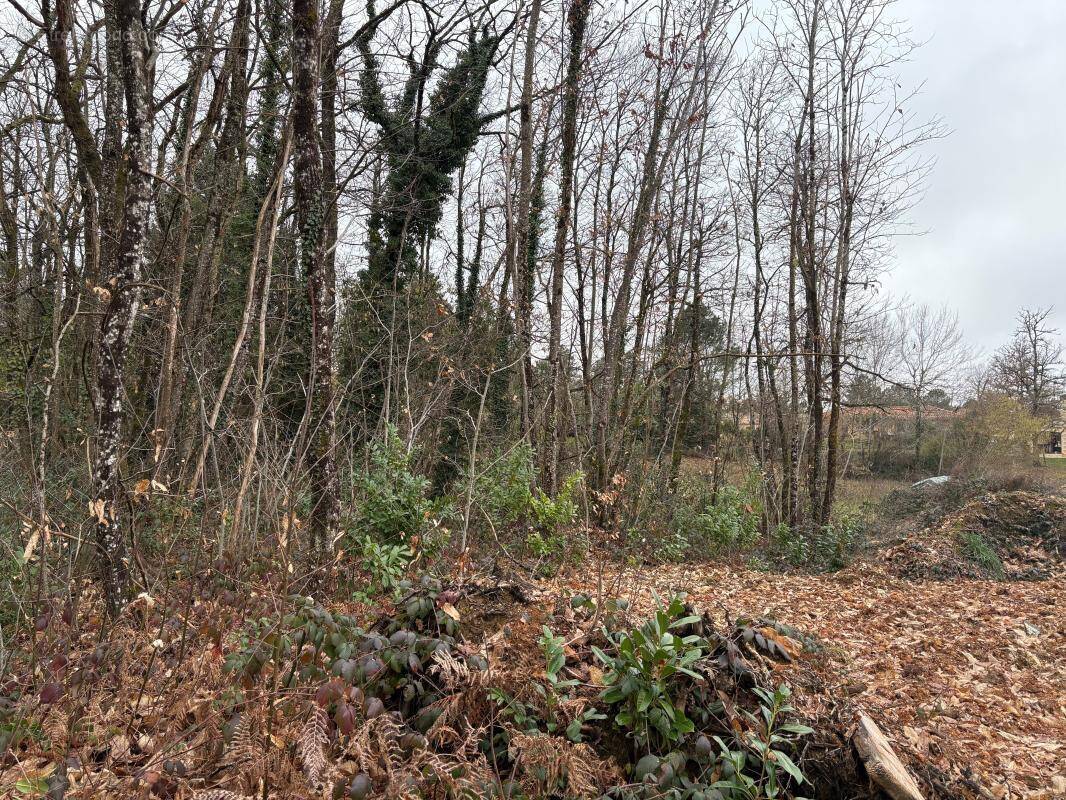 Terrain à MARSAC-SUR-L'ISLE