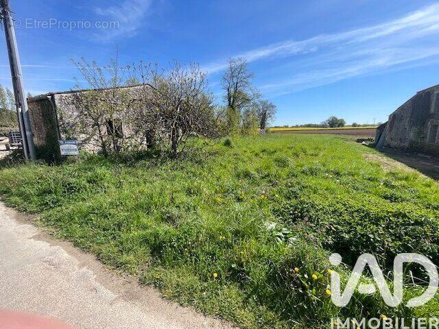 Photo 1 - Terrain à NIEUL-LES-SAINTES