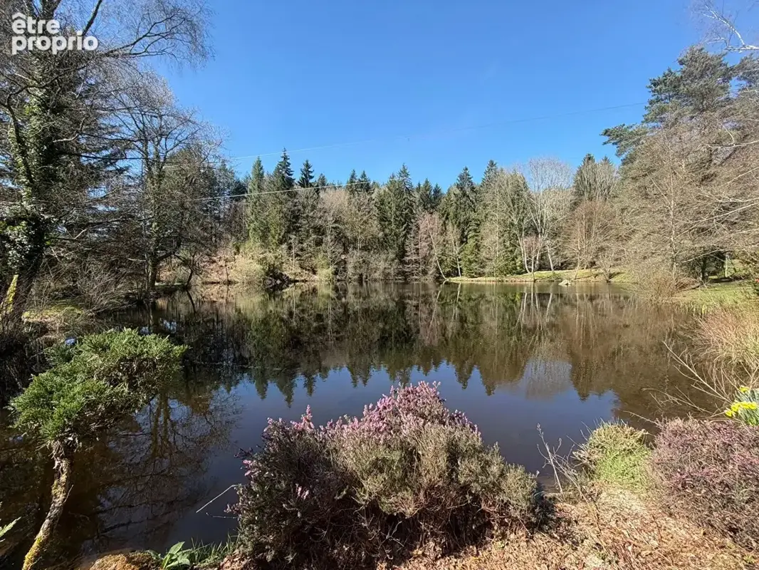 Propriété de 11 hectares avec maison, dépendance, et 2 étangs, entourée de bois. - photo 2