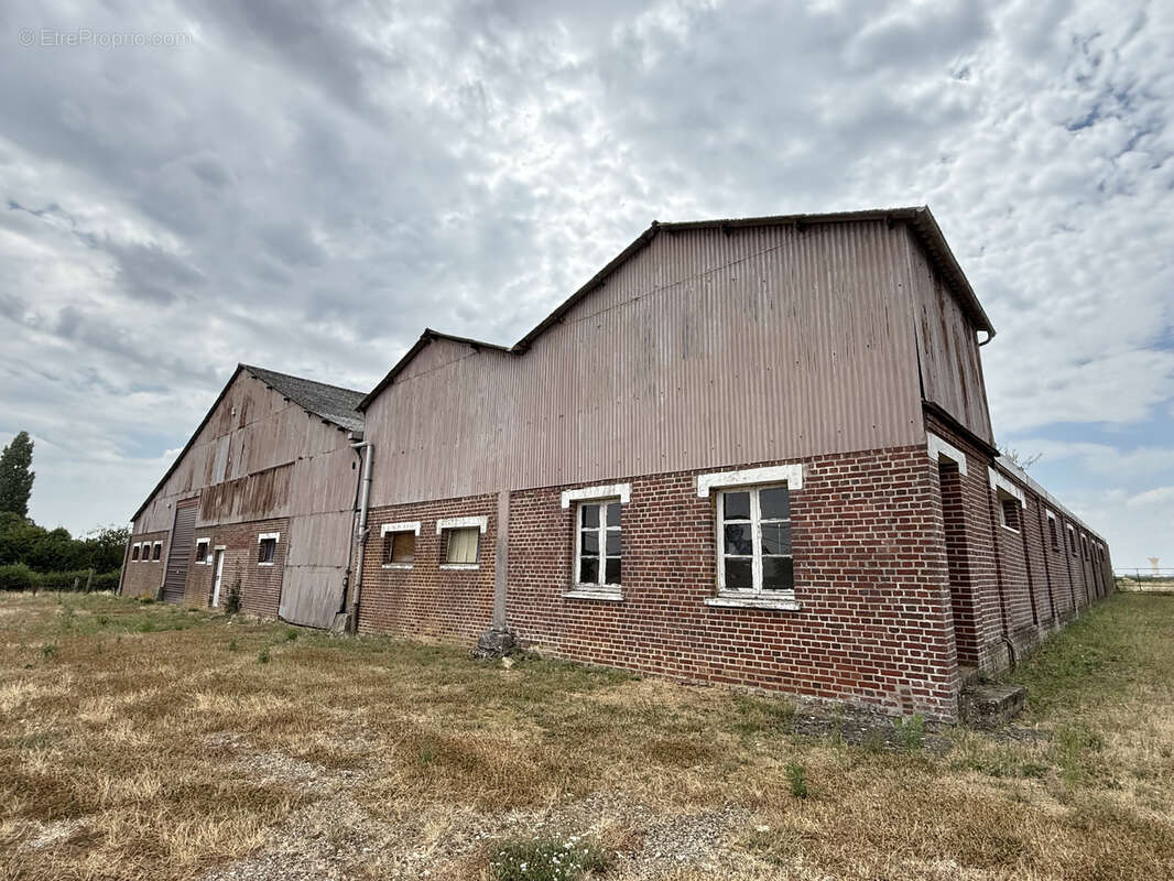 Propriété avec 2 hectares et hangar - photo 18