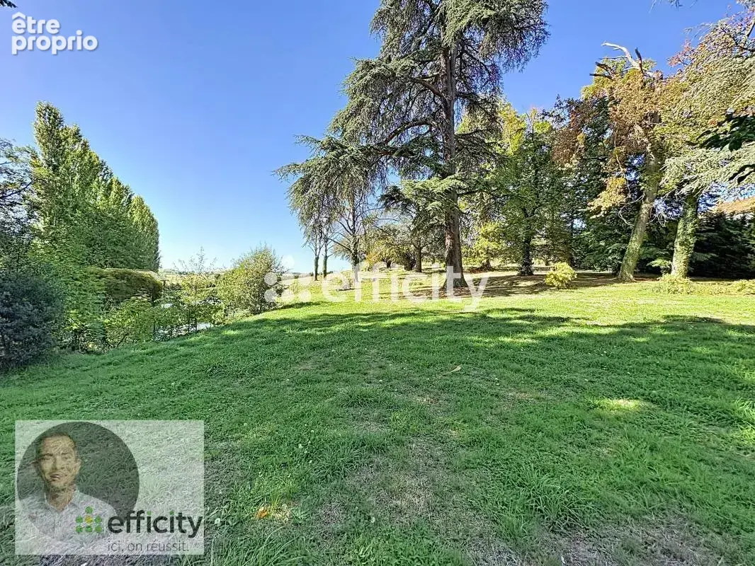 Propriété - photo 11