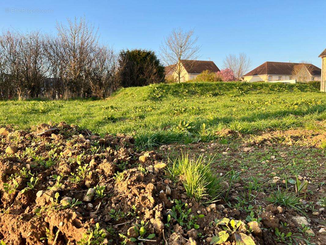 Terrain à FALAISE