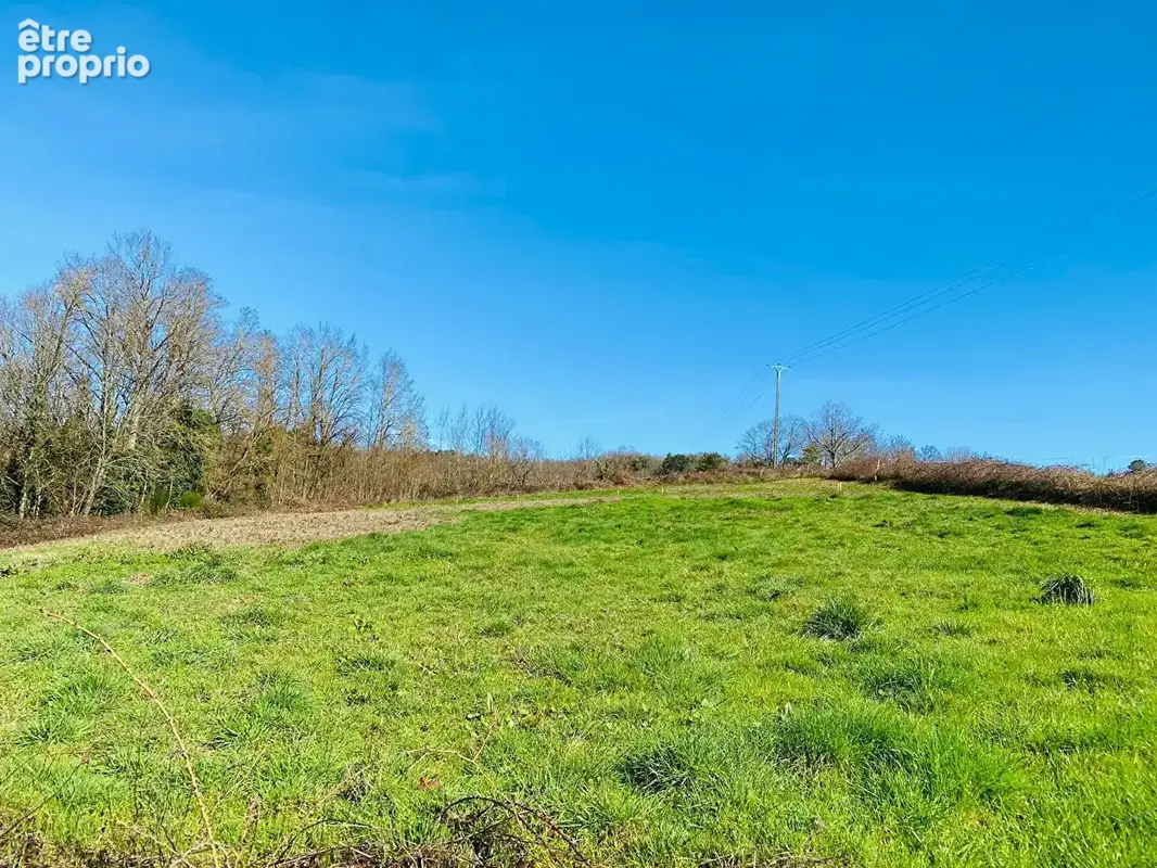 Terrain 3479m² à planioles - photo 3