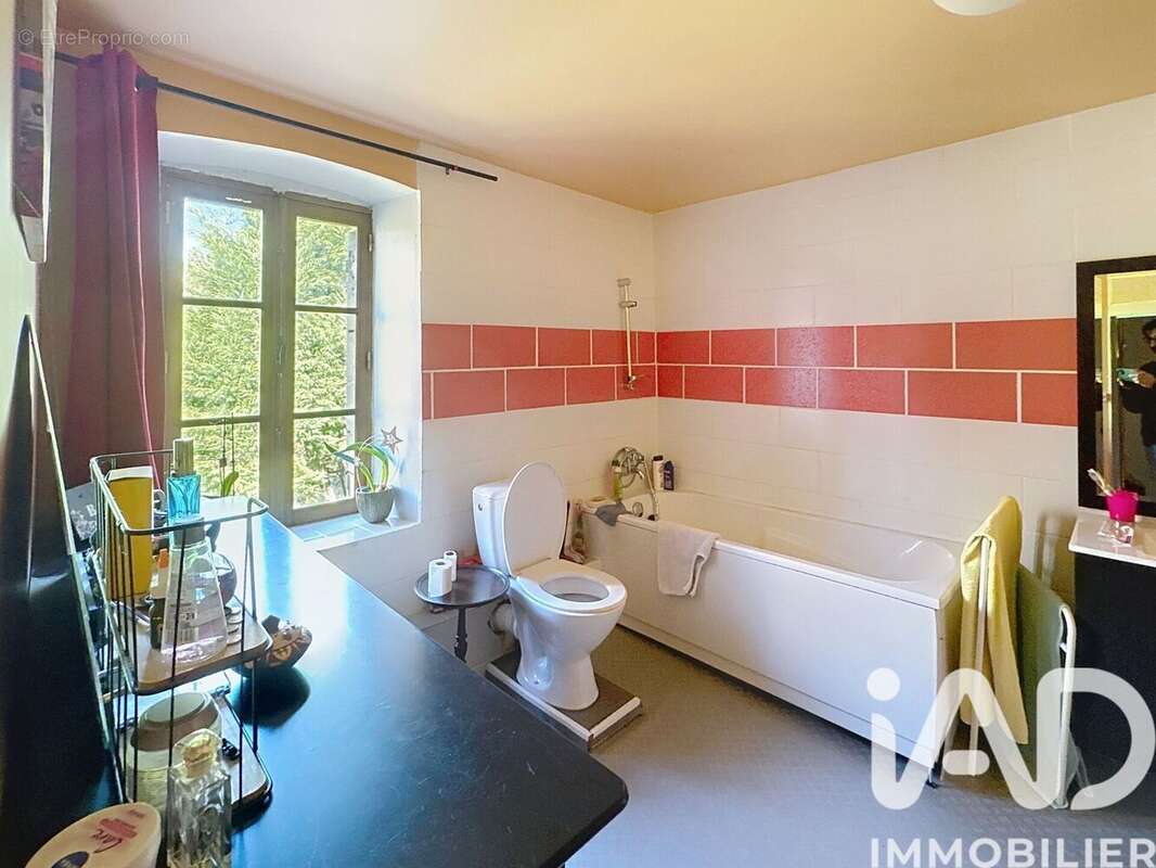 Photo 8 - Maison à SAINT-AMANT-ROCHE-SAVINE