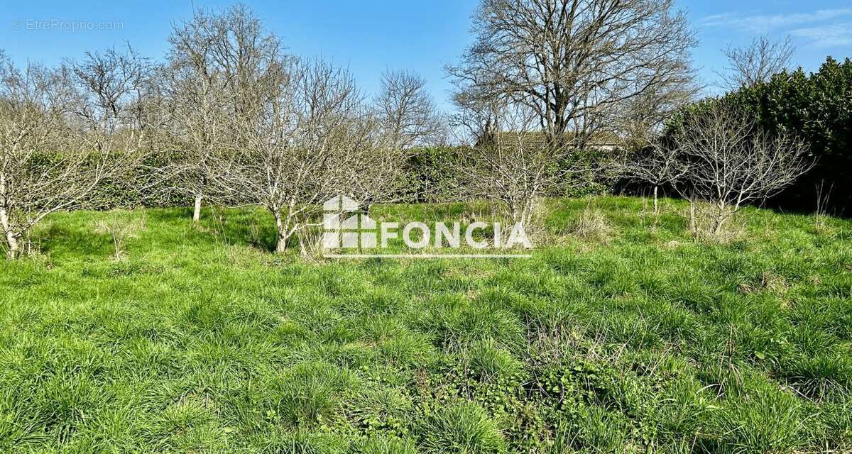 Maison à LA FERRIERE