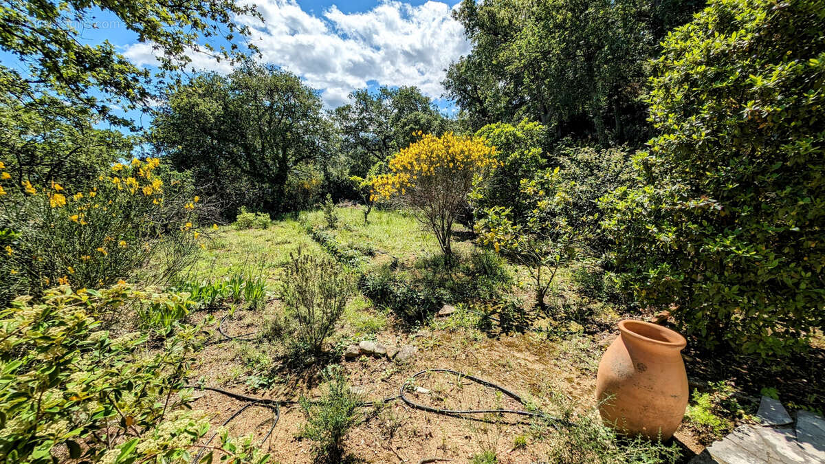 Maison à LAROQUE-DES-ALBERES
