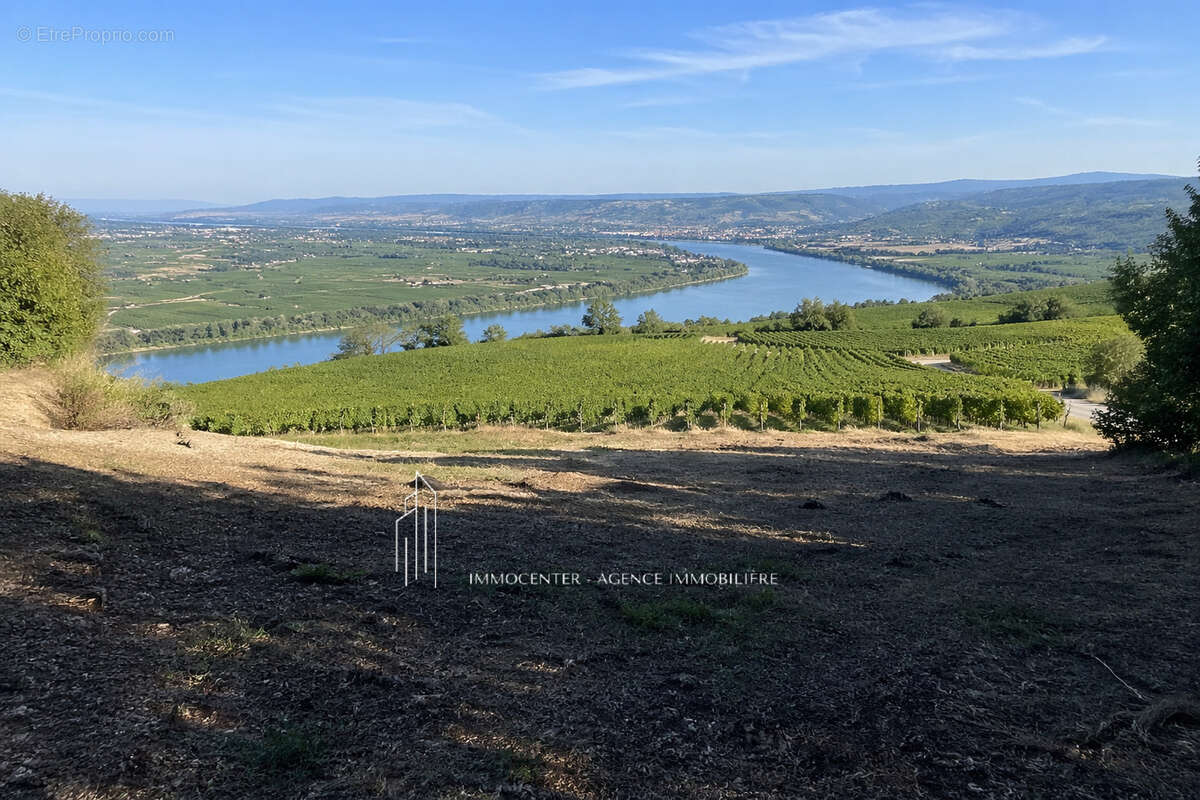 Terrain à ARRAS-SUR-RHONE