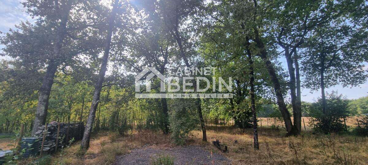Terrain à LE TAILLAN-MEDOC