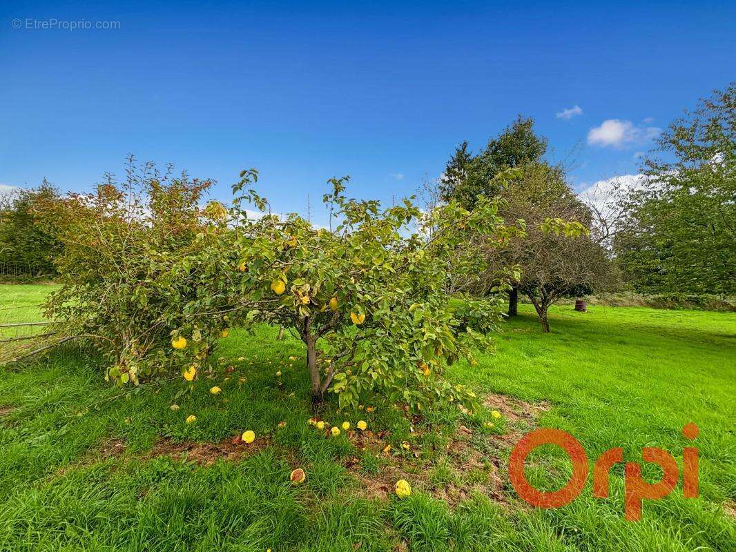Maison à MORNAY-SUR-ALLIER