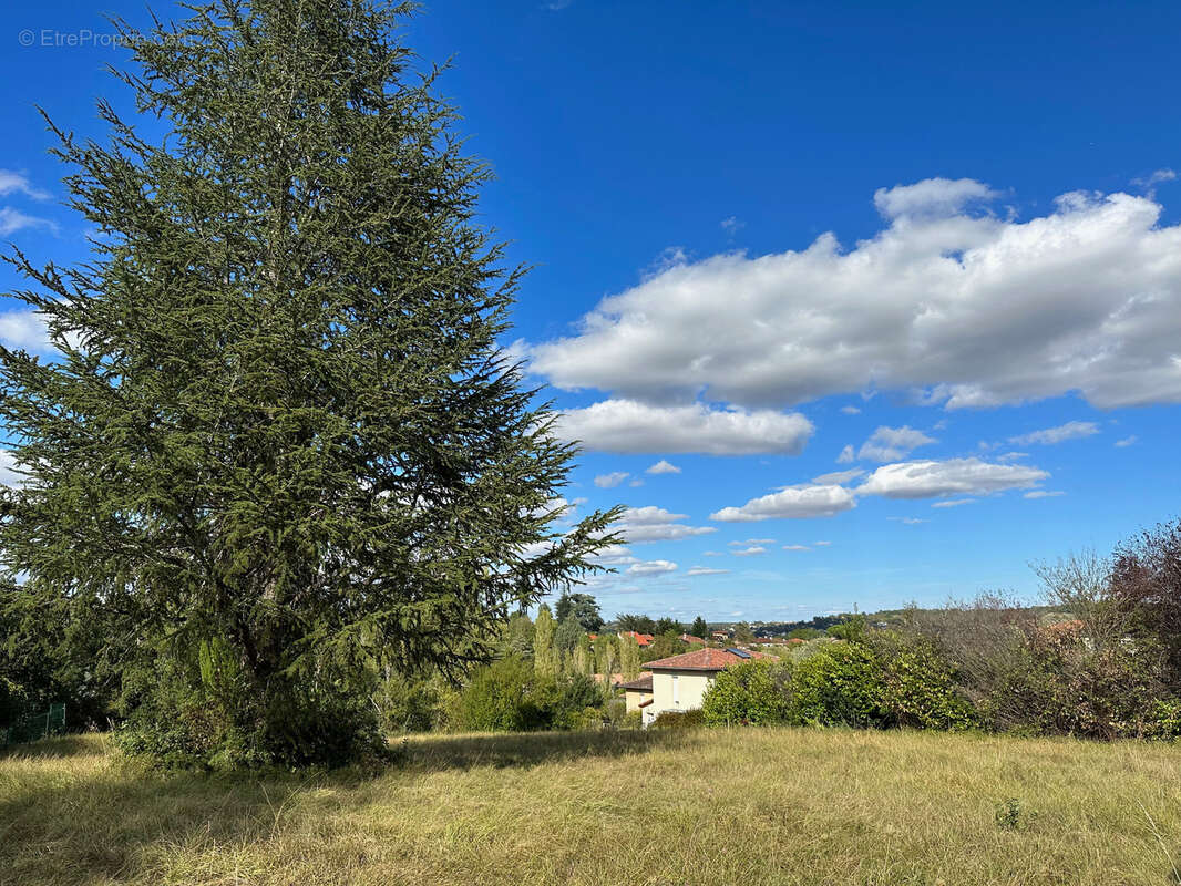 Dpt Gers (32), à vendre AUCH, terrain de 2 497,00 m² - photo 3