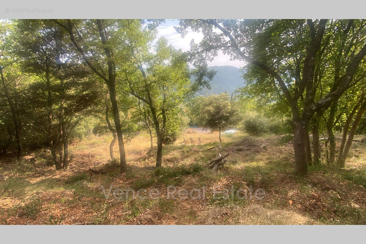 Terrain 5092 m² à Tourrettes-Sur-Loup  - photo 6